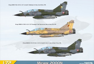 Scale model  Mirage 2000N with ASMP missile