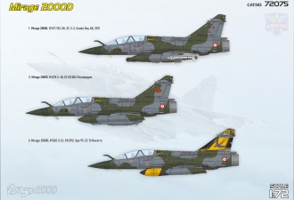 Scale model  Mirage 2000D with SCALP EG missile