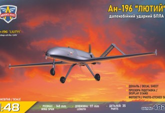 Scale model  An-196 "Liutyi" deep-strike UAV (1/48)